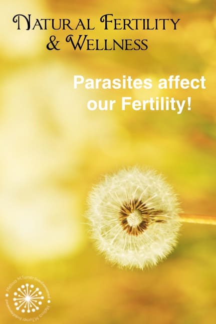 endometriosis and parasites